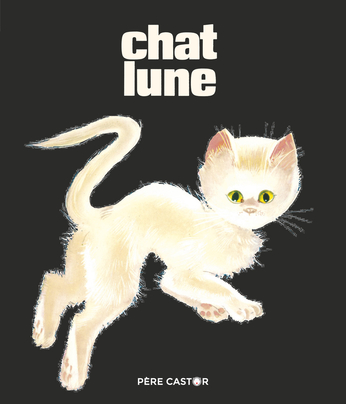 Image de l'objet « CHAT LUNE »