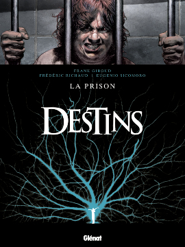 Image de l'objet « DESTINS : TOME 12 - LA PRISON »