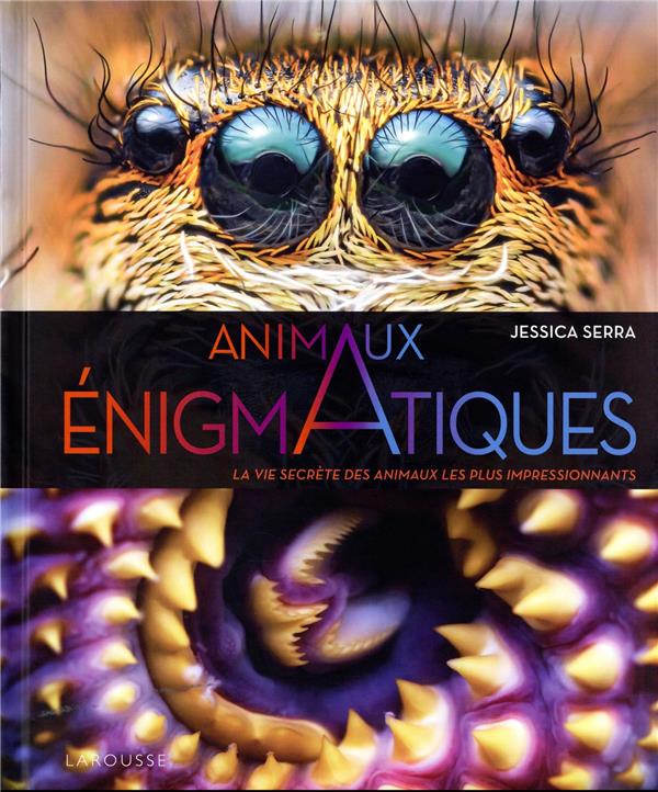 Image de l'objet « ANIMAUX ENIGMATIQUES »