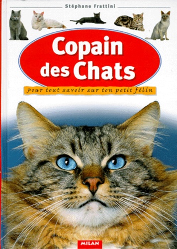 Image de l'objet « COPAIN DES CHATS »