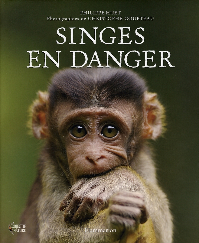 Image de l'objet « SINGES EN DANGER »