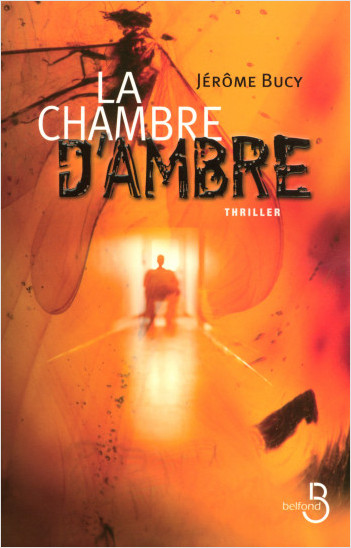 Image de l'objet « CHAMBRE D'AMBRE (LA) »