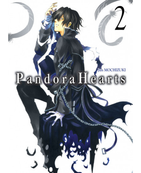 Image de l'objet « PANDORA HEARTS TOME 2 »