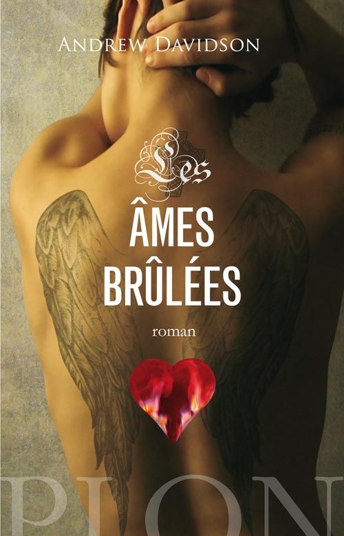 Image de l'objet « AMES BRULEES »