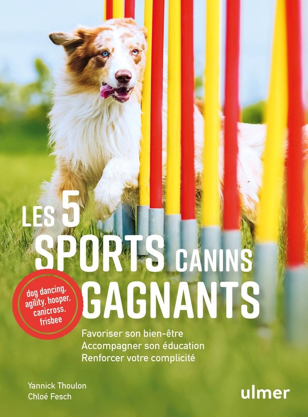 Image de l'objet « 5 SPORTS CANINS GAGNANTS (LES) »