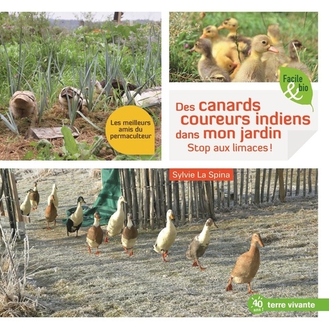 Image de l'objet « CANARDS COUREUS INDIENS DANS MON JARDIN (DES) »